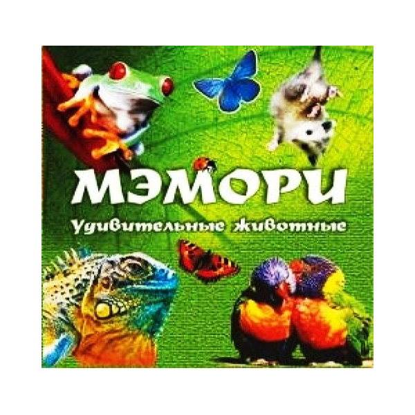 Игра Задира-плюс Мэмори Удивительные животные 9435/Задира