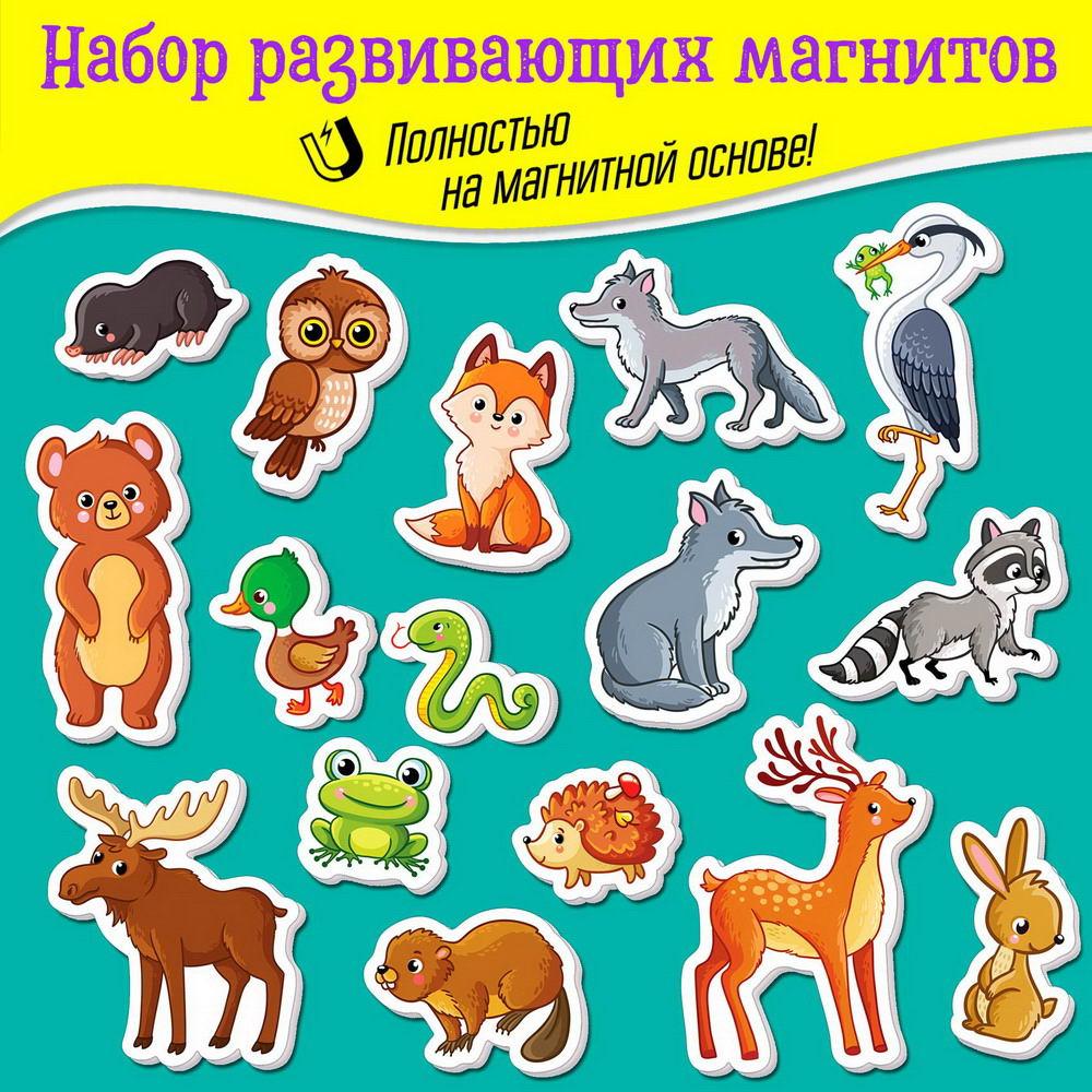 Игры на магнитах Дрофа-Медиа Лесные животные