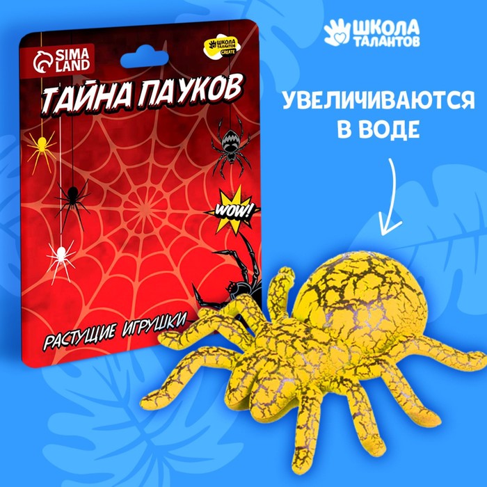 Школа талантов Растущие игрушки «Тайна пауков»