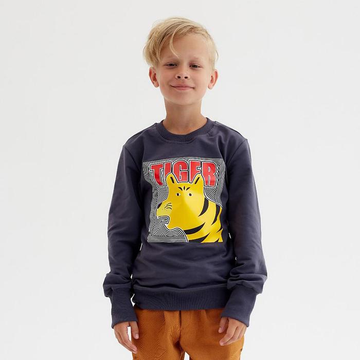 Свитшот для мальчика MINAKU: Casual Collection KIDS цвет графит, рост 104